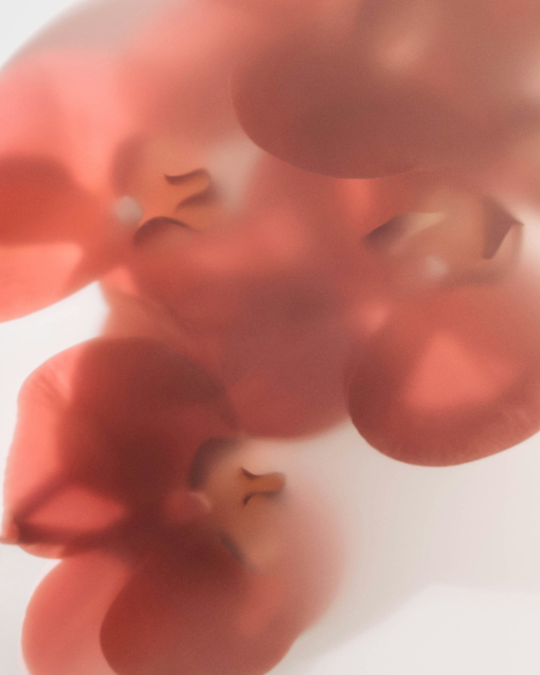 Mythen und Fakten über Periodenunterwäsche