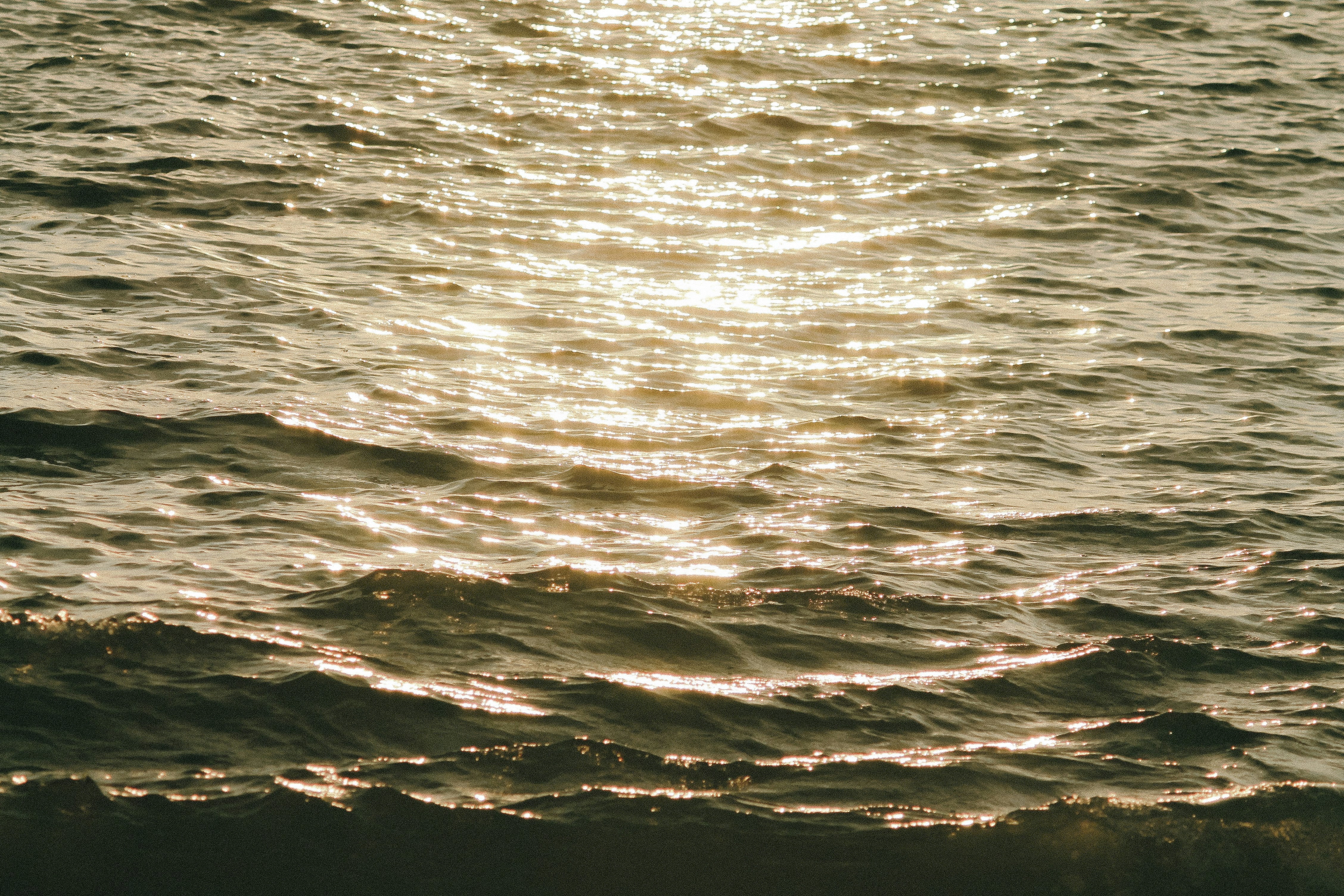 Gemeinsam gegen Plastik: Wie dais und CleanHub die Ozeane schützen