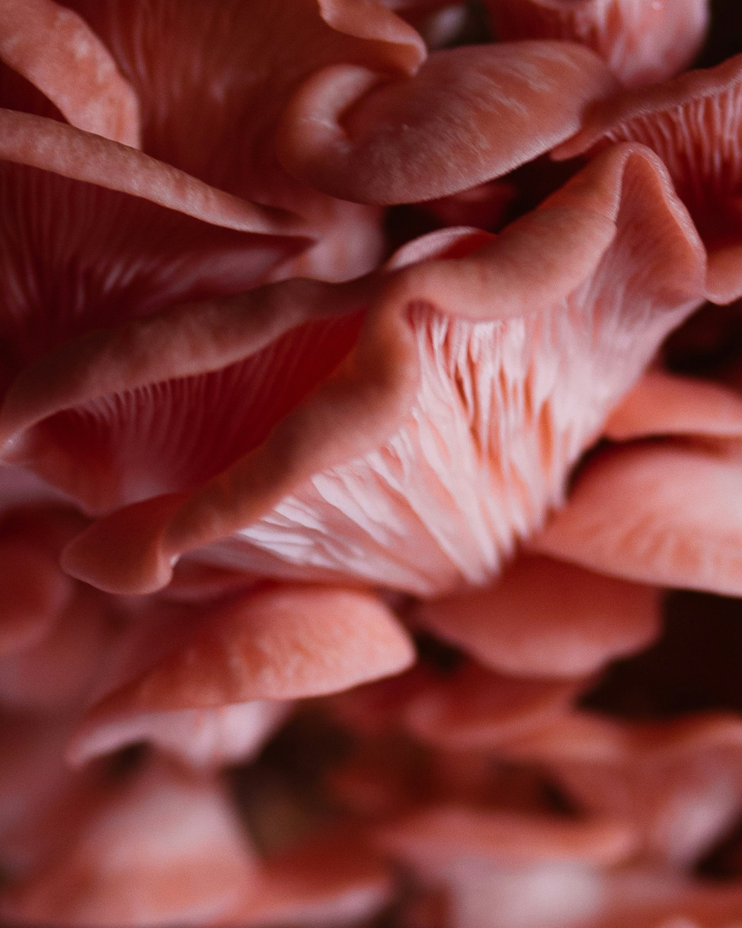 Wie du Krämpfe während deiner Periode in den Griff bekommst