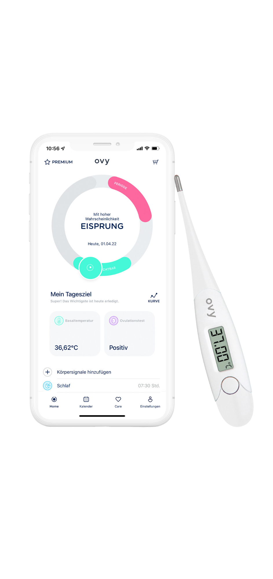 Ovy Basalthermometer